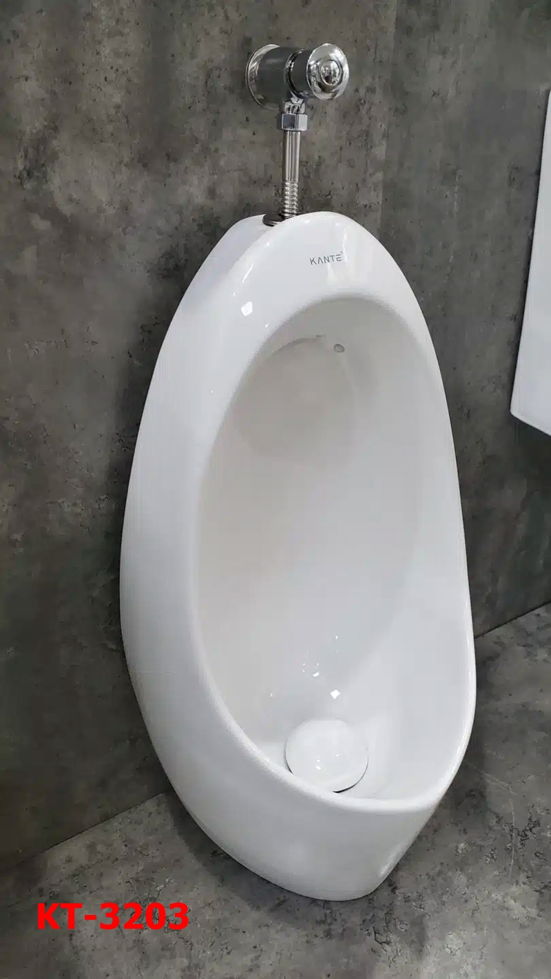 tieu nam xa co kante 3203